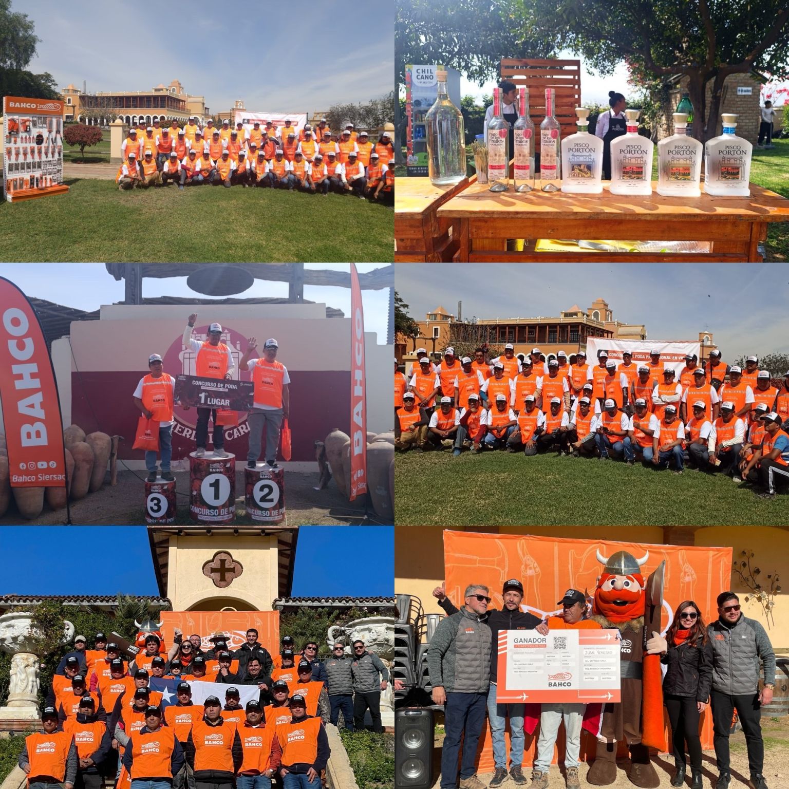 ¡Así fue nuestro Concurso de Poda en Perú!