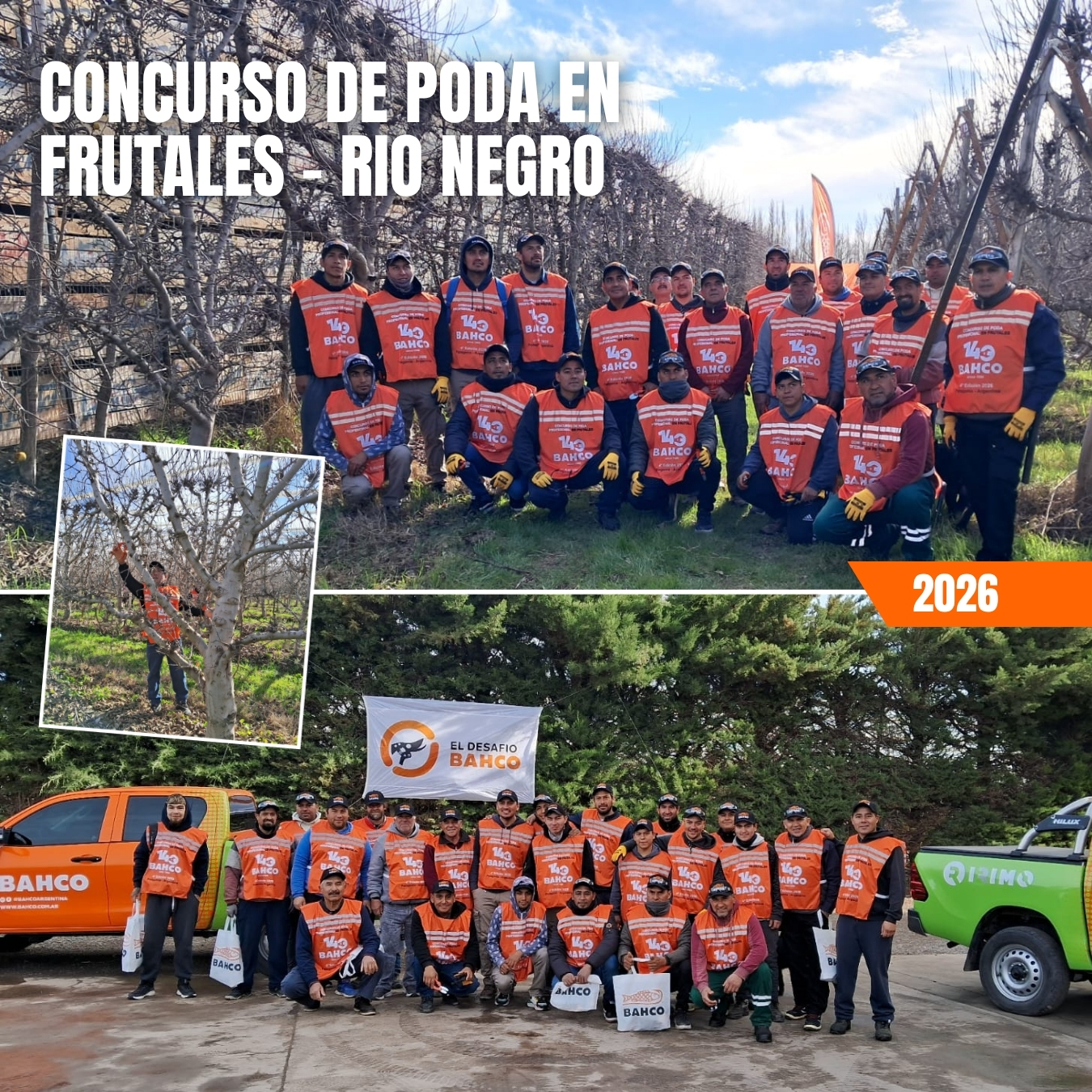 ¡Así vivimos nuestro 4to Concurso de Poda Profesional en Frutales 2026!  