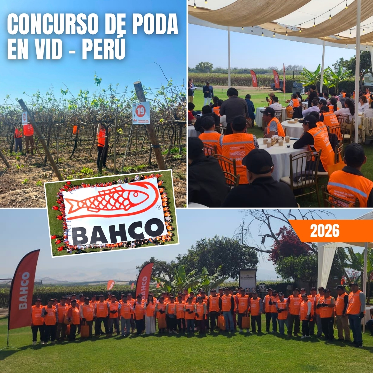 CONCURSO DE PODA BAHCO PERÚ 2026