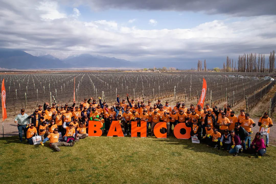 10° concurso sudamericano de poda en VID en Mendoza