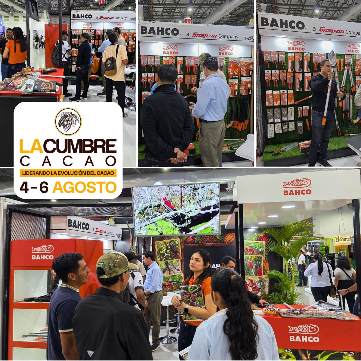 Descubrí la Feria Cacaotera en Ecuador 2026
