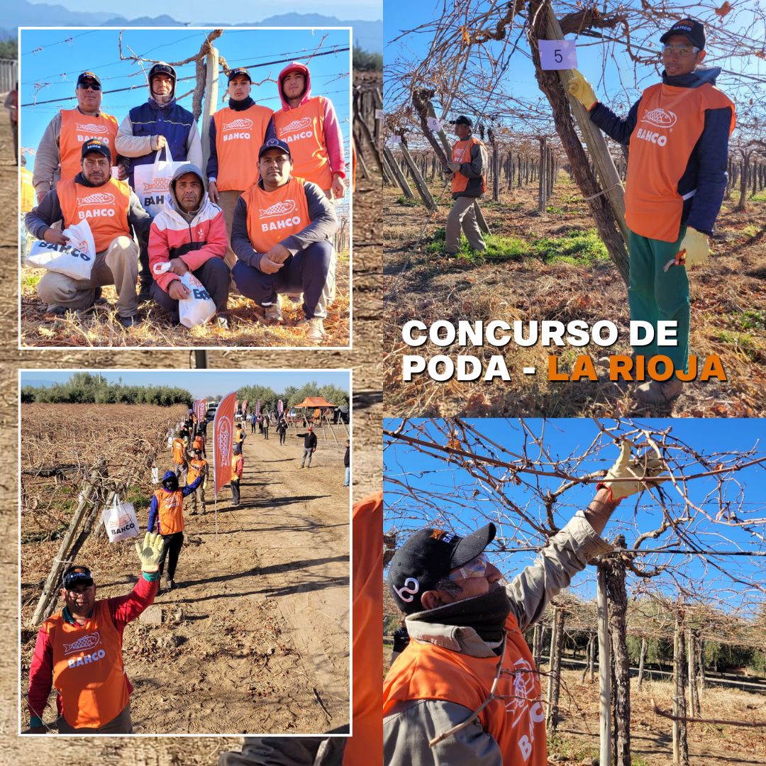 Te mostramos cómo fue el Concurso Profesional de Poda en Vid en LA RIOJA 