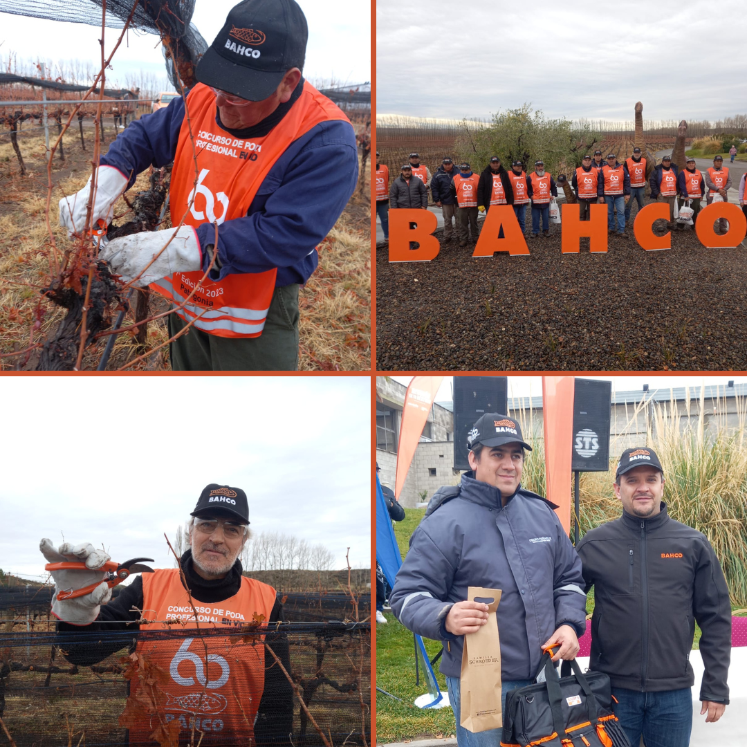 SEPTIMA EDICIÓN DEL CONCURSO DE PODA EN NEUQUEN