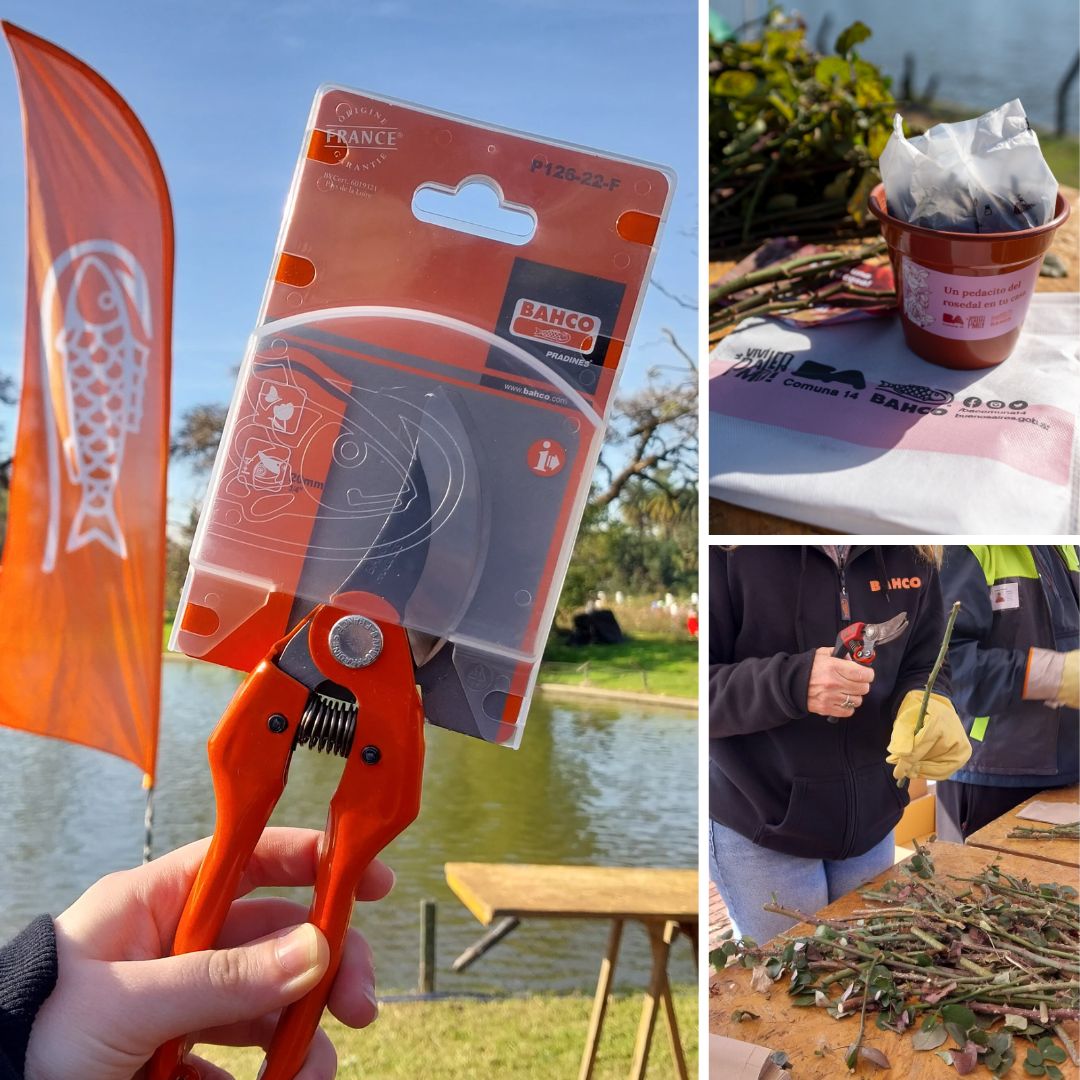 ¡Participamos de las semanas de Poda en el Rosedal! 