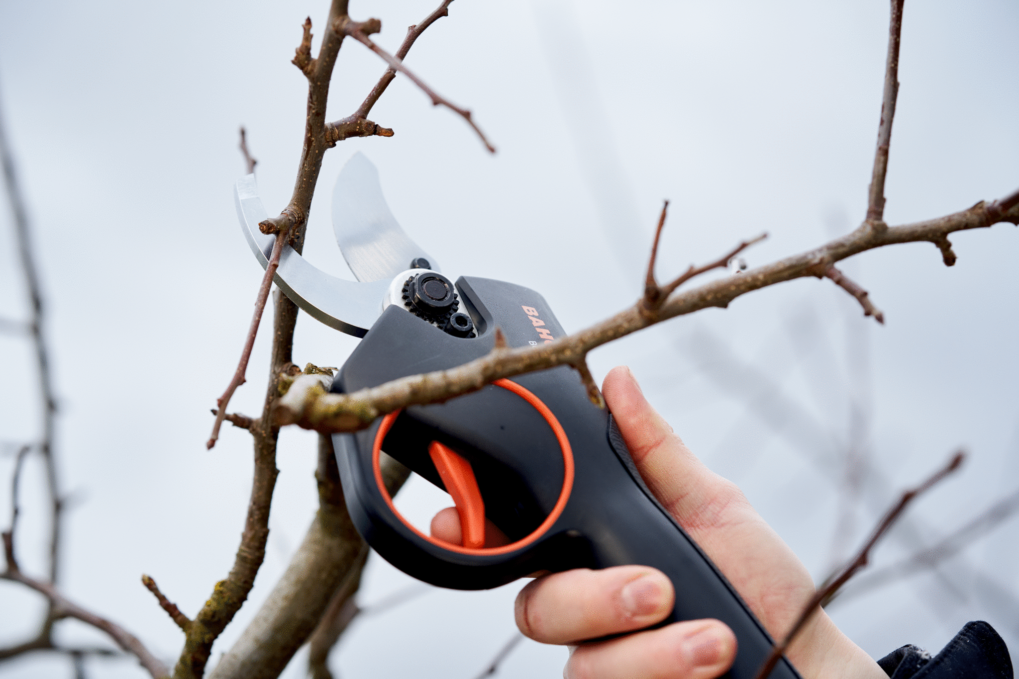 New BatteryPowered Secateurs from Bahco® Turns Intense Cutting and