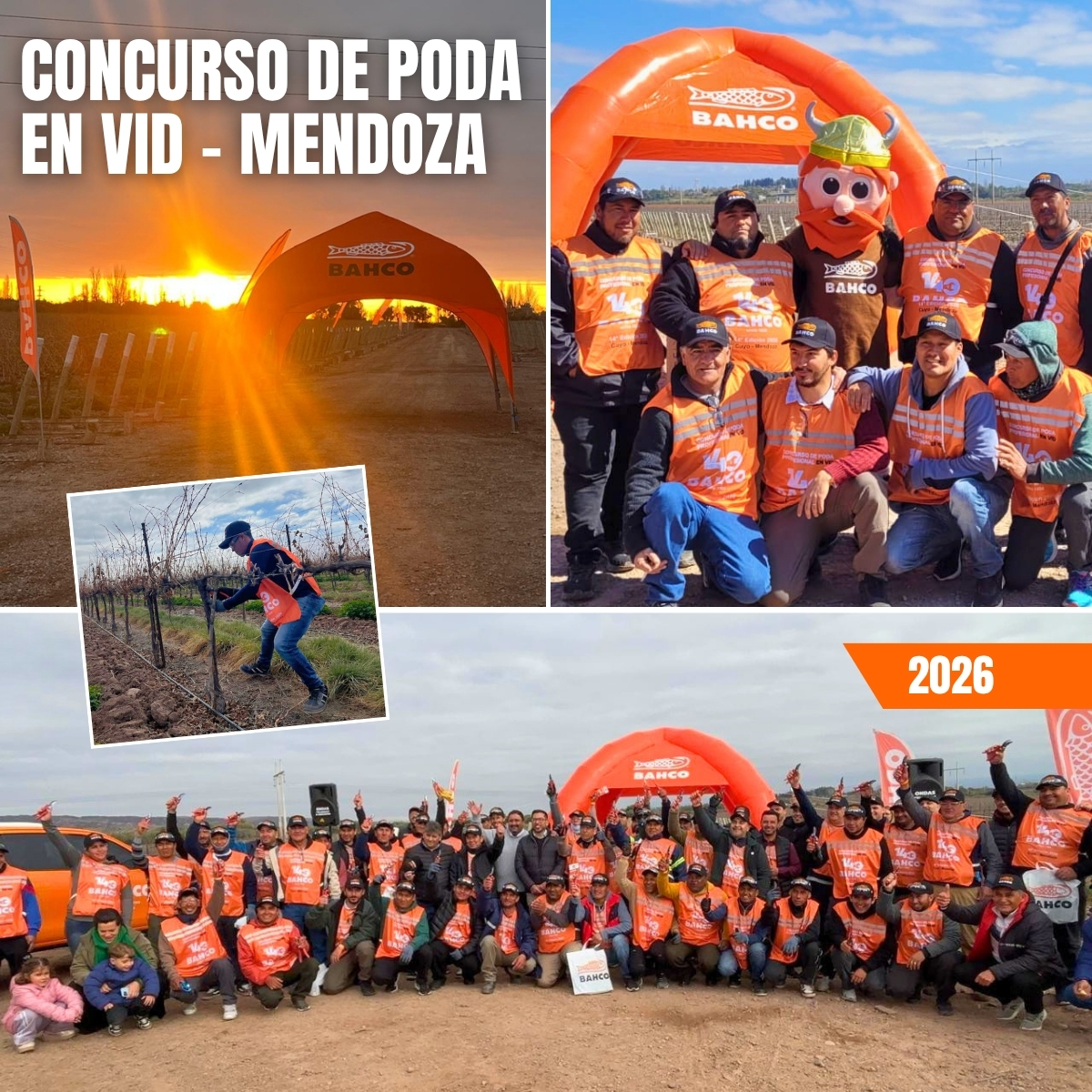 14º Concurso de Poda en Vid en Mendoza