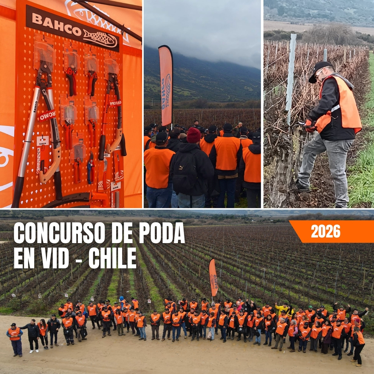 ¡Con éxito finalizó el 7° Concurso de Poda Profesional en Vid 2026! 