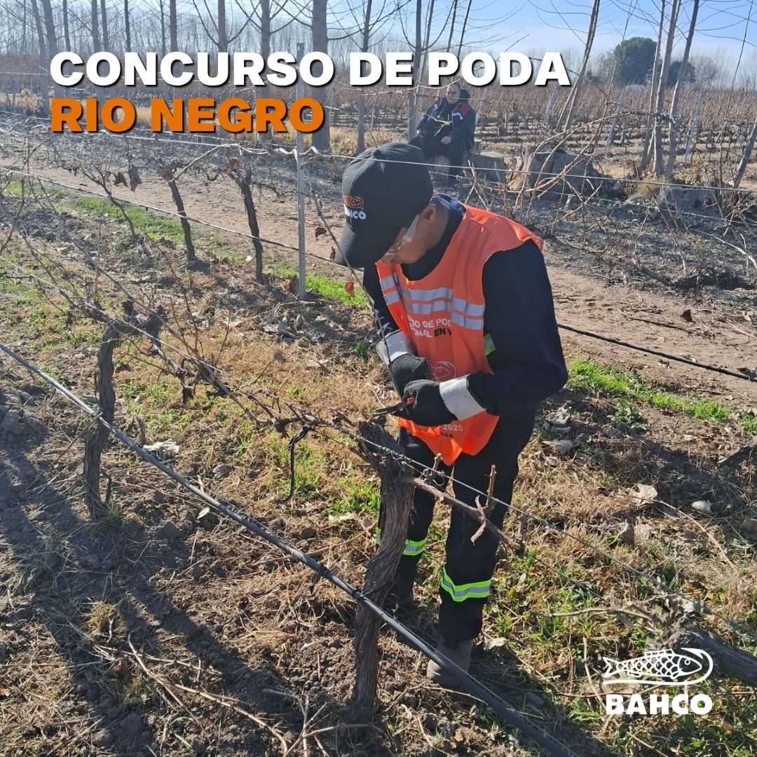 ¡Enterate cómo fue el primer Concurso de Poda del año!