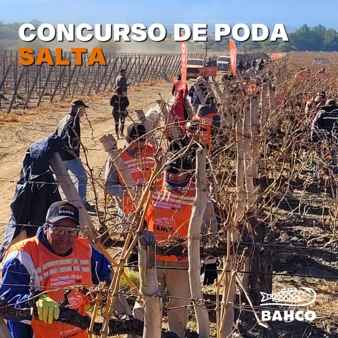 ASÍ FUE LA 8º EDICIÓN DE NUESTRO CONCURSO DE PODA EN SALTA