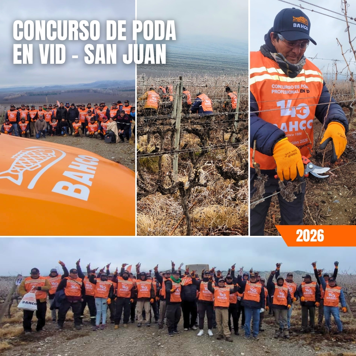 ¡Volvimos a reunir a los mejores podadores de San Juan! 