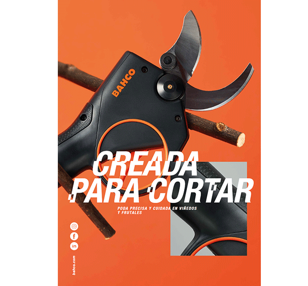 Poda precisa y cuidada en viñedos y frutales