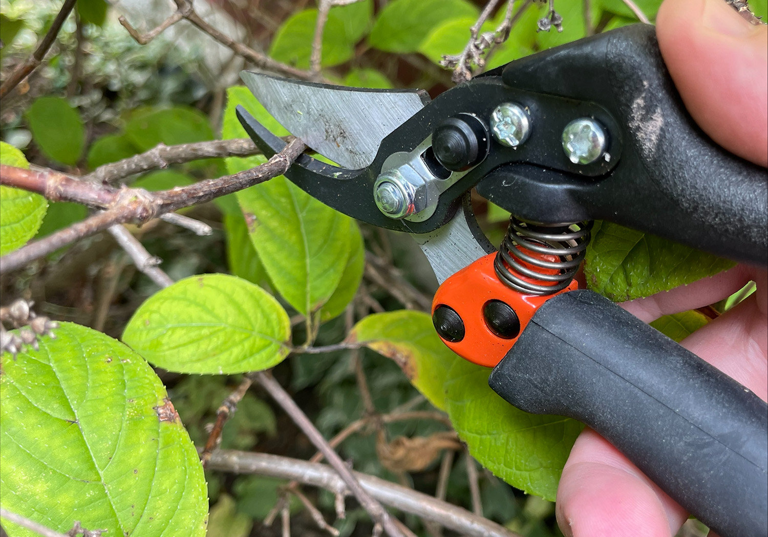 バーコ 伸縮型剪定ばさみ PG-19-F BAHCO(バーコ) Pruning Shears 伸縮型剪定ばさみ PG-19-F BAHCO バーコ